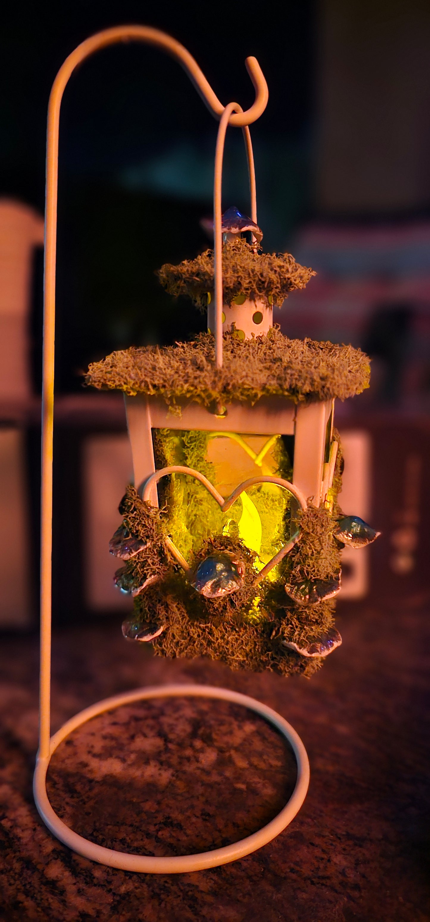 Lantern Terrarium/ Heart design with LED flicker candle, covered in moss and mushrooms