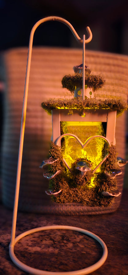 Lantern Terrarium/ Heart design with LED flicker candle, covered in moss and mushrooms