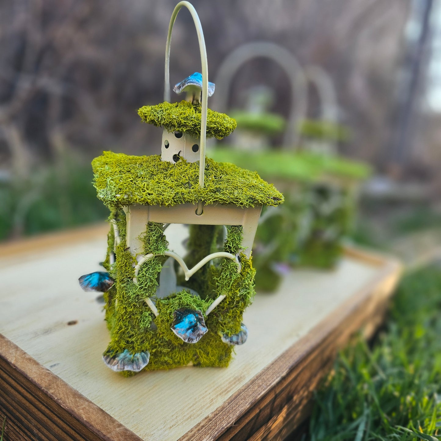 Lantern Terrarium/ Heart design with LED flicker candle, covered in moss and mushrooms