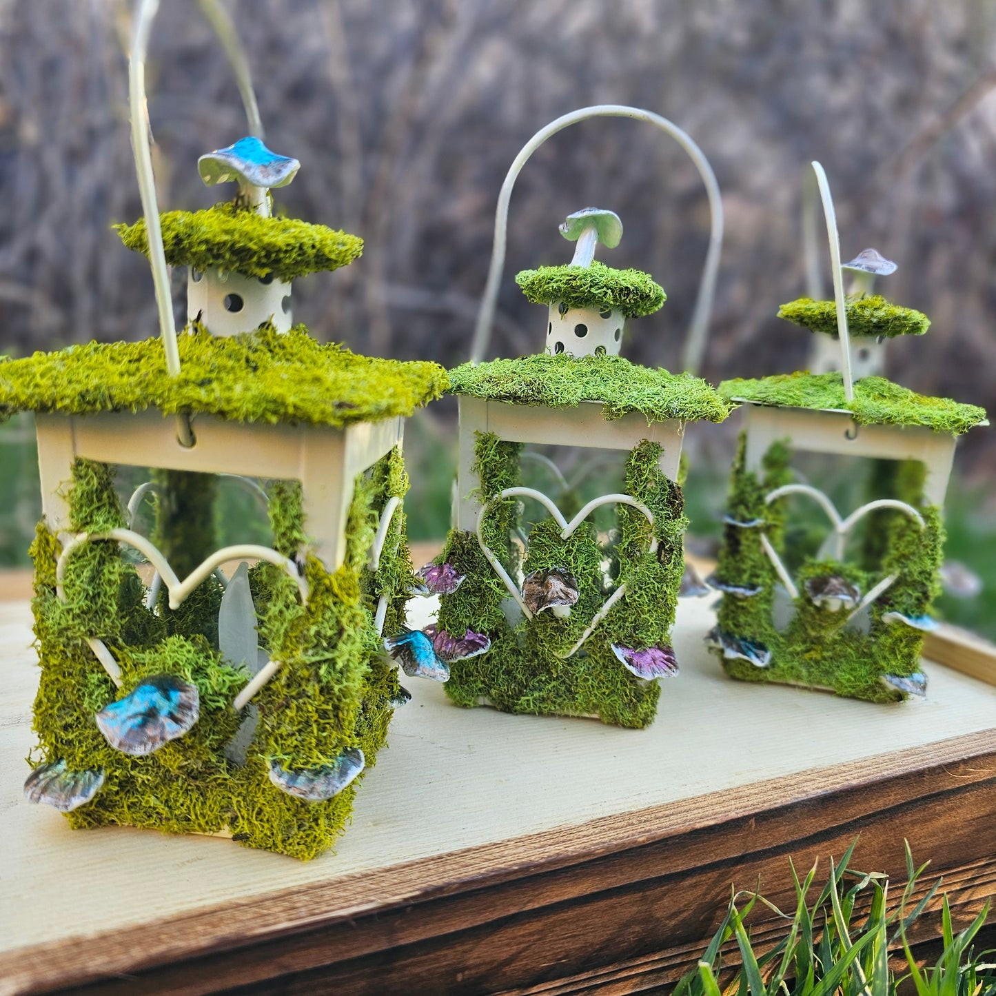 Lantern Terrarium/ Heart design with LED flicker candle, covered in moss and mushrooms