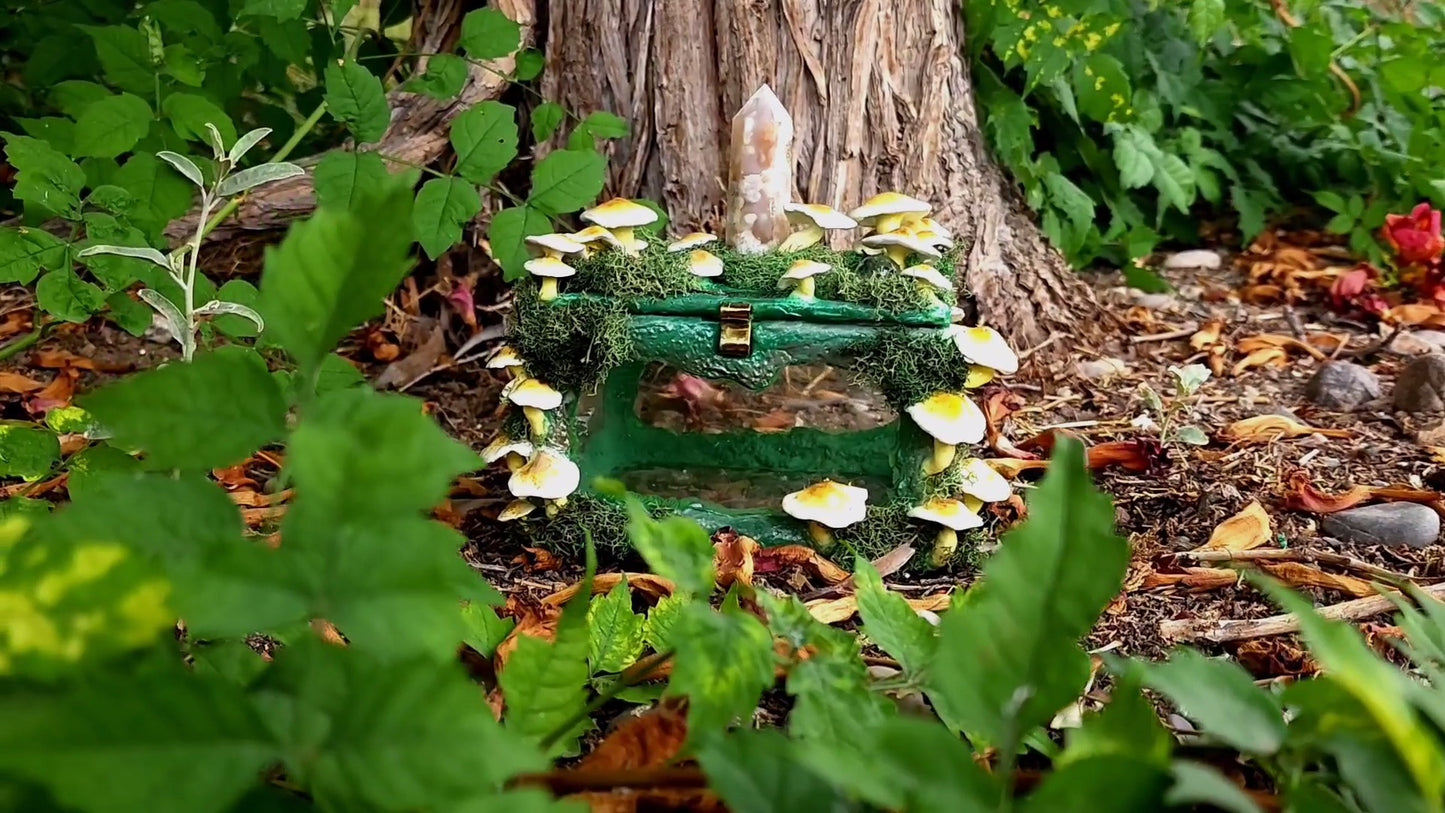 Glass Mushroom Box